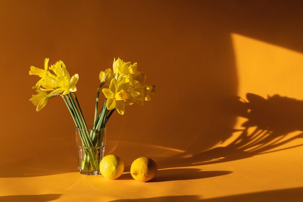 daffodils, home decor, yellow-6523446.jpg